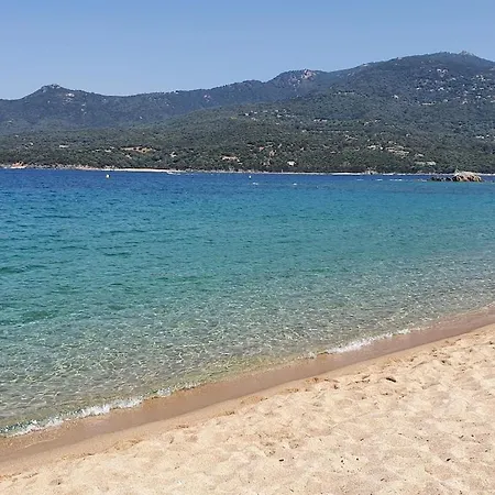 T2 A 2 Pas Des Plages Et Du Port *