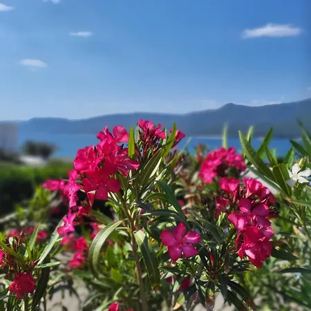 Propriano T2 A 2 Pas Des Plages Et Du Port Propriano (Corsica)