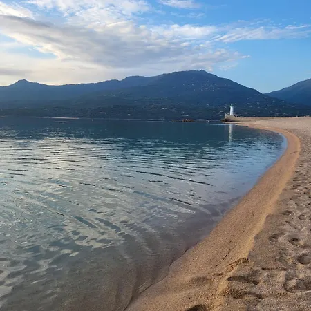 Propriano T2 A 2 Pas Des Plages Et Du Port *