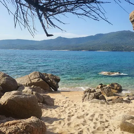 Propriano T2 A 2 Pas Des Plages Et Du Port Apartment Propriano (Corsica)